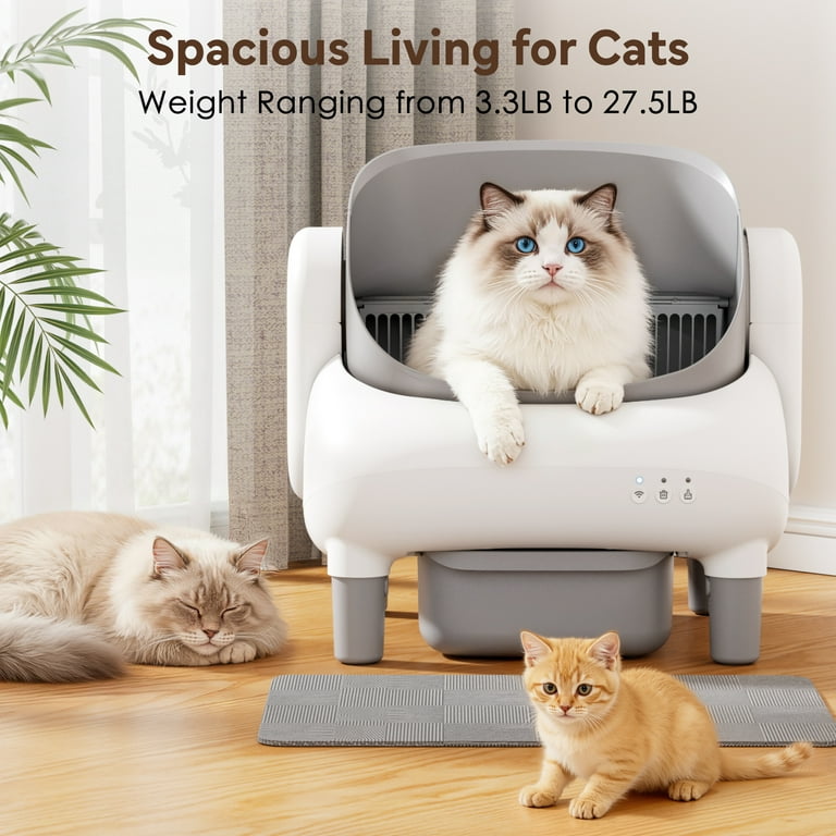 air filter cat litter box Purrified Air Litter Box Air Filter for Cats Ferrets & RVs Engineered to Remove Odor & dust 2+ Pounds Filter Media and Powerful