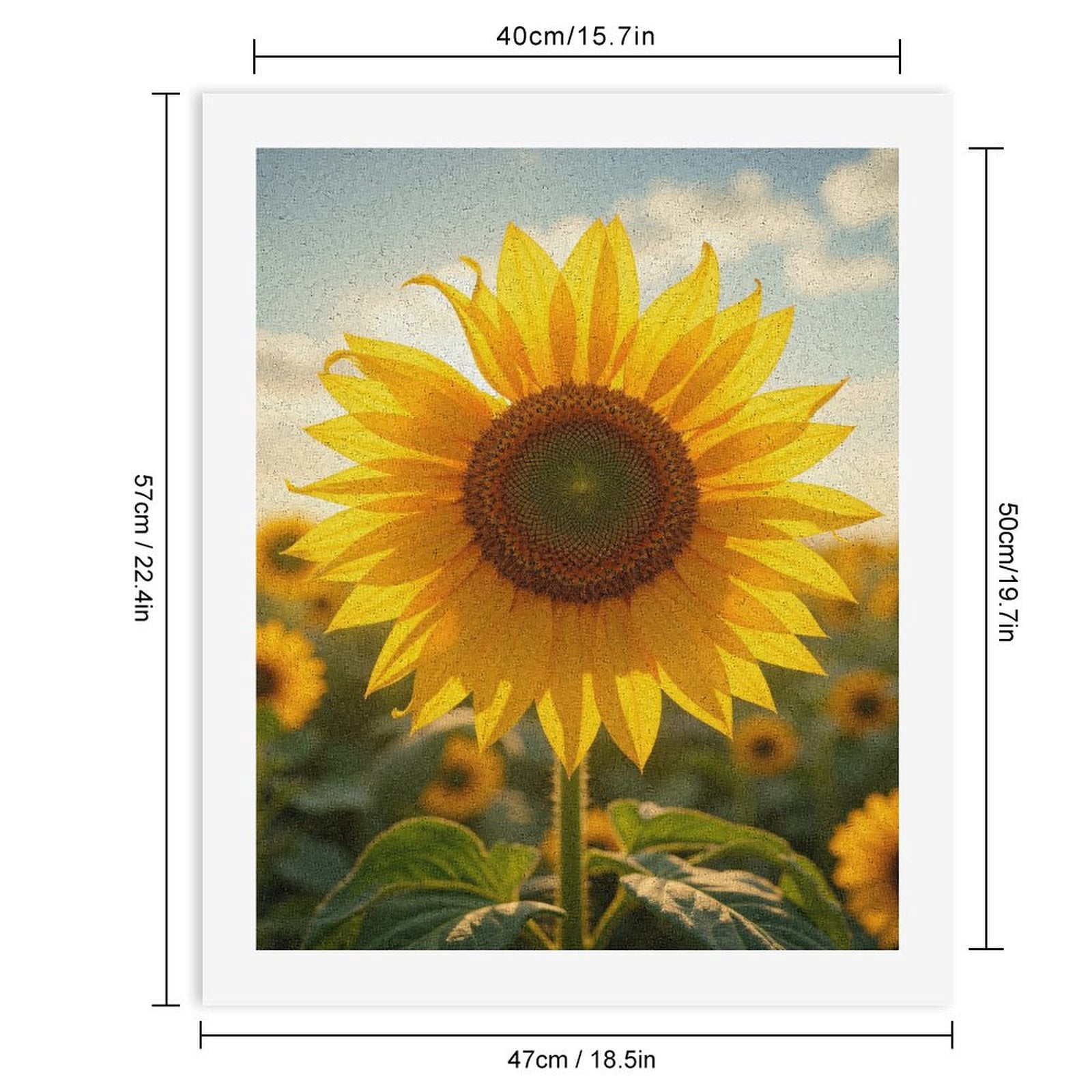 Paint by Numbers Kit for Adults, Sunflower Field Golden Blooms Paint by Numbers, Easy Paint by Numbers Kit for Adults Beginner, DIY Adult Paint by Number Kits on Canvas, Home Decor