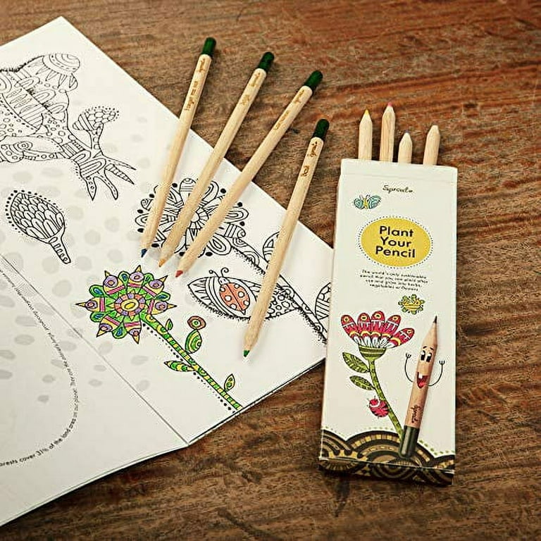 Plantable Seed Colored Pencil Set - 10 Colored Pencils – Bears for Humanity