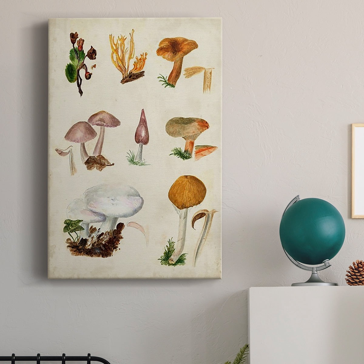 Mushroom Species VI Premium Gallery Wrapped Canvas - Ready to Hang