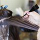 thumbnail image 3 of 16 Pieces Hair Dye Coloring Kit, 3 of 5
