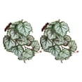 thumbnail image 2 of 2 piezas de plantas acuáticas artificiales de simulación de enredadera con hojas de plástico realistas, decoración con ventosa para pecera, hojas de Heuchera, 2 of 14