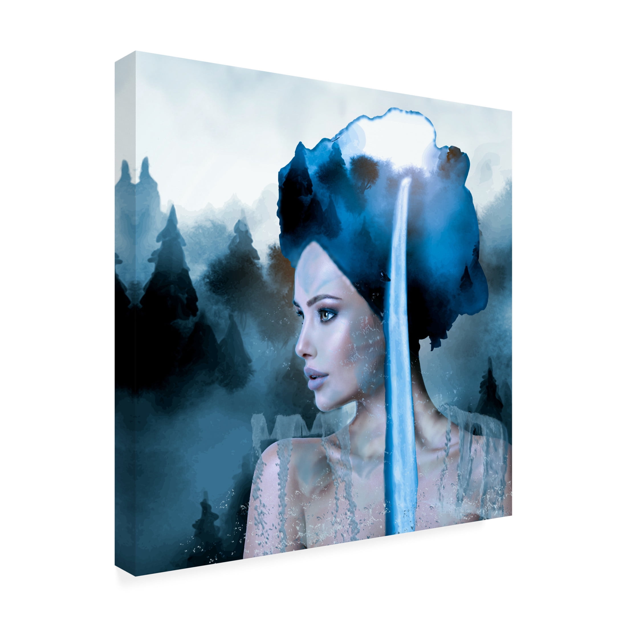 Trademark Fine Art Purplesunshine Waterfall Canvas Wall Art