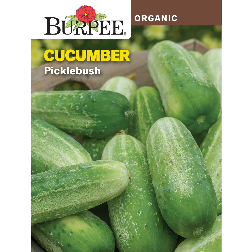 Burpee Organic Picklebush Cucumber Vegetable Seed, 1Pack