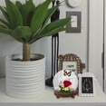 thumbnail image 3 of MOVTOTOP Miniature Glass Display Dome Round Plant Dome 1 Set Glass Display Case with Base, 3 of 8