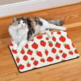 thumbnail image 2 of Pet Feeding Mat with Sweet Red Strawberry Print, Durable Waterproof Dog Food Mat, Non-Slip, Absorbent, Quick Dry, Washable Mat for Pet Feeding Area and Kitchen, 2 of 7