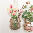 thumbnail image 2 of Agiferg Leather Flower Pot Tray Multi-Level Plant Hanging Basket Hanging Pot Hanger, 2 of 2