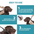 thumbnail image 2 of Collar contra pulgas y garrapatas para perros, tratamiento y prevención de pulgas y garrapatas para perros de hasta 8 meses, talla única, ingredientes naturales, resistente al agua, incluye, 2 of 4