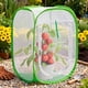 thumbnail image 5 of Red protectora plegable para plantas de jardín, jaula protectora, carpa de jardín, para 40 cm x 40 cm x 60 cm, 5 of 8