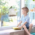 thumbnail image 5 of Bird Feeder Removable Feeding Transparent Housing Window Creative Support Feeder, 5 of 5