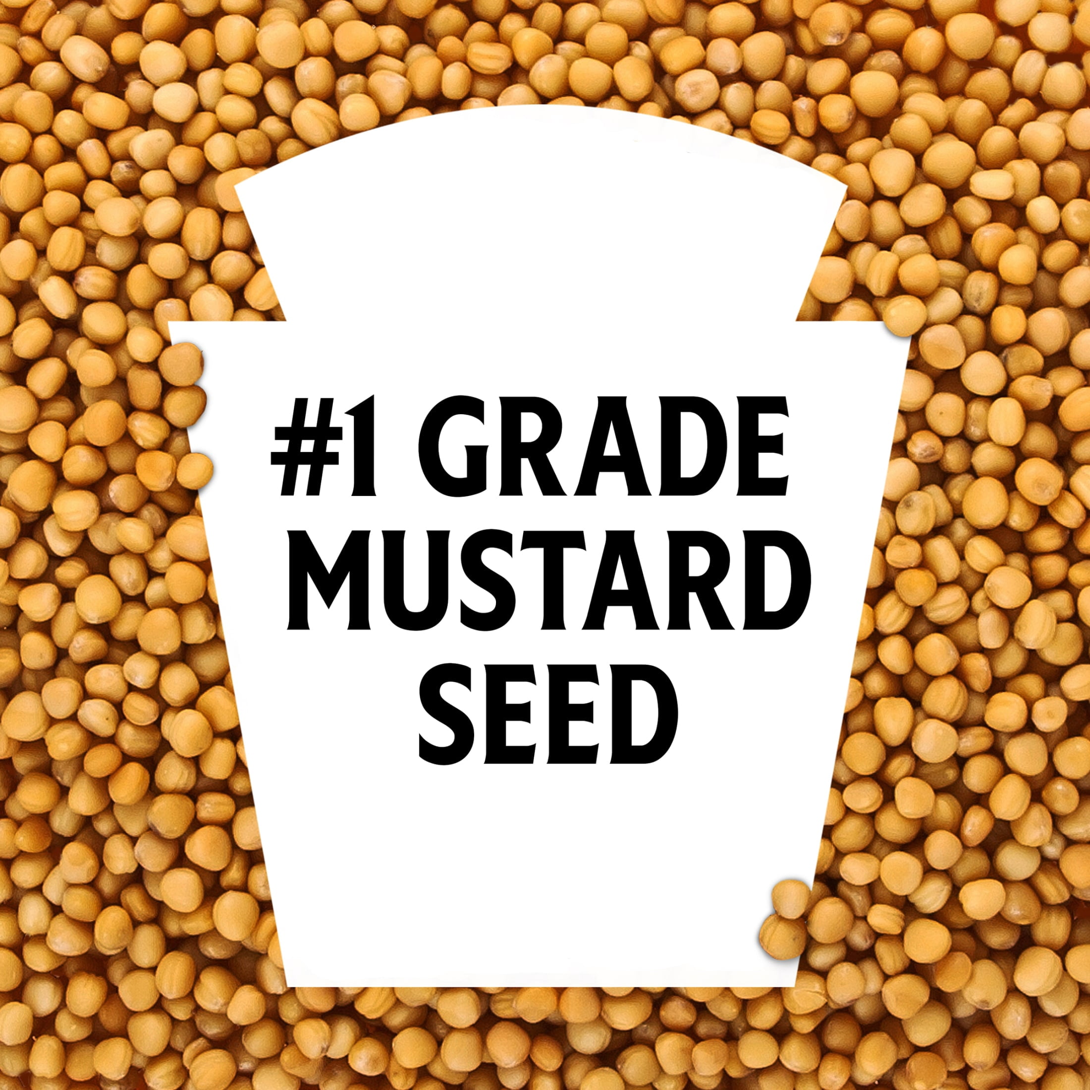 (3 pack) Heinz Yellow Mustard, 14 oz Bottle