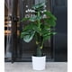 thumbnail image 4 of Jardinera Redonda Con Riego Automático Con Indicador De Agua, De Jardín De Hierbas Para Interiores, Jardín De Encimera Crece - Blanco Baoblaze macetas de riego automático, 4 of 8