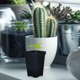 thumbnail image 4 of FELTECHELECTR 1Jgo Maceta De Vivero Con Tapa Transparente Para Y Jardinería En Casa, 4 of 7