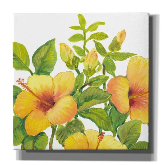 Epic Graffiti 'Watercolor Hibiscus I' by Tim O'Toole, Canvas Wall Art, 18"x18"