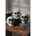 thumbnail image 4 of 3-Pack of Large Skulls, 4 of 4