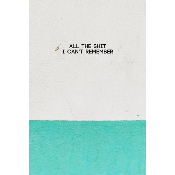 All the Shit I Can't Remember: Password Keeper and Finder Notebook w/ White & Green Paint on House Wall Texture Design Gift (Paperback)