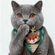 thumbnail image 5 of Herunwer Christmas Cat Collars, Adjustable Xmas Pet Bandana Collar with Removable Scarf, Christmas Collar for Kittens Cats, 5 of 7