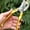 Gold, variant on EDHITNR Garden Pruning Shears, Bypass Handheld Pruners with Stainless Steel Blades, Rust-Resistant Garden Shears for Trimming Flowers Herbs Plants