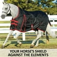 thumbnail image 2 of STORM SHIELD Classic II Heavy Weight High Neck Surcingle Turnout Blanket | Black | 76, 2 of 13