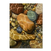 Trademark Fine Art "Trip the Light Fantastic" Canvas Art by Stephen Stavast