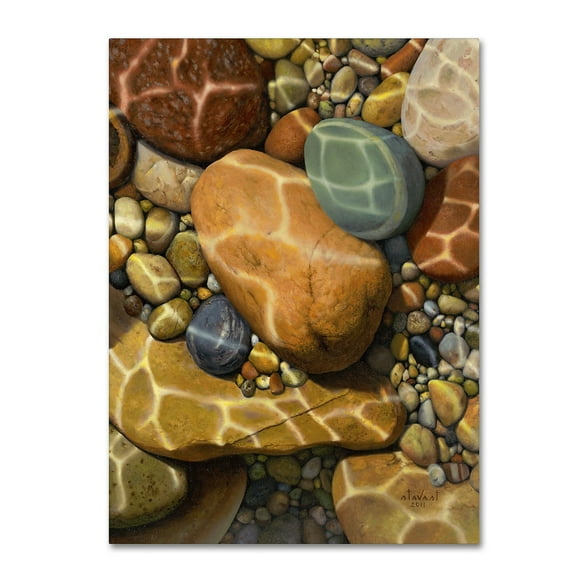 Trademark Fine Art "Trip the Light Fantastic" Canvas Art by Stephen Stavast