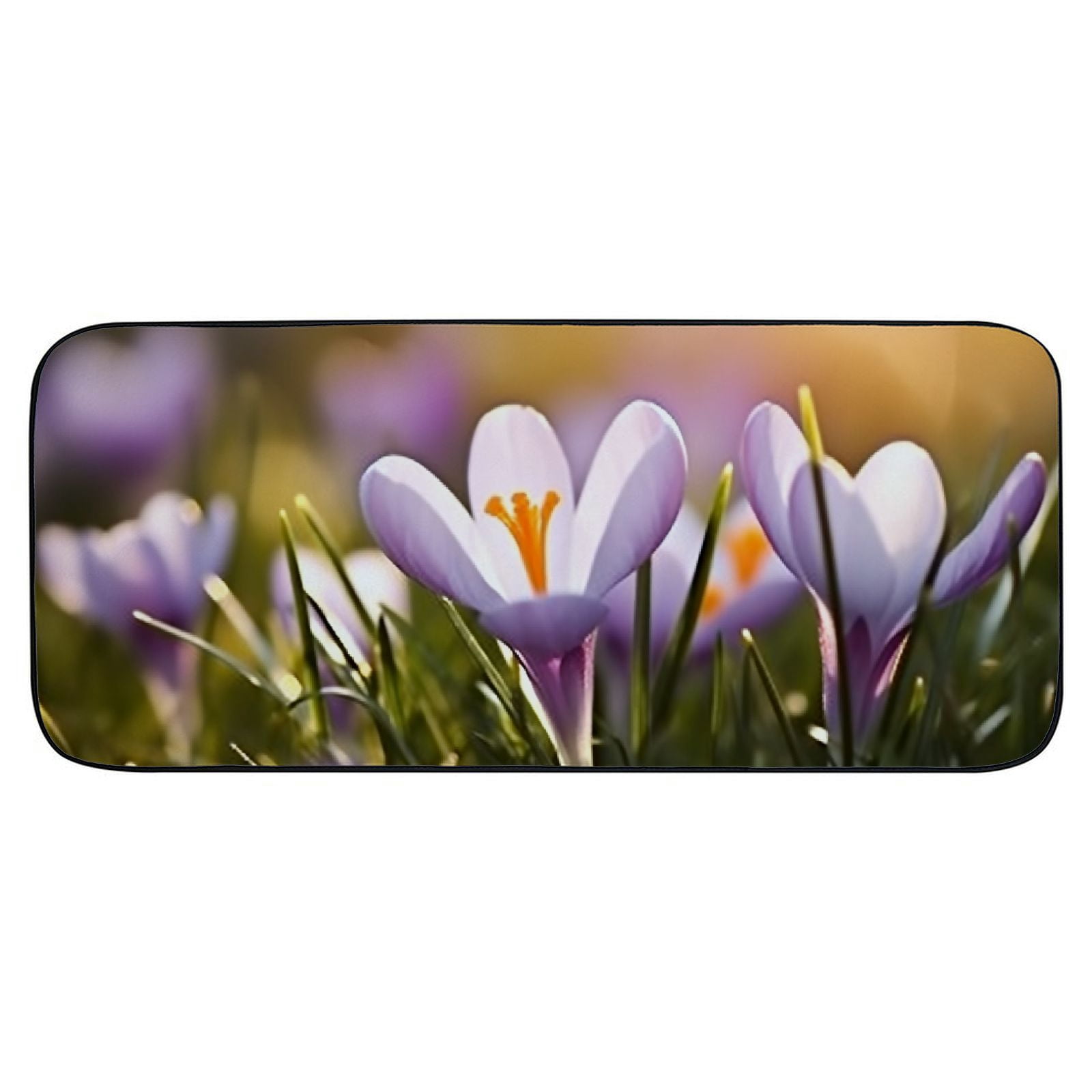 Qinduosi Decorative Door Mat, Door Mat with Non-Slip Rubber Backing, Cleaning, Traps Dirt, for Entry, Patio, Garage - Spring Schwertliliengewaechs Spring 19.68*47.24 in