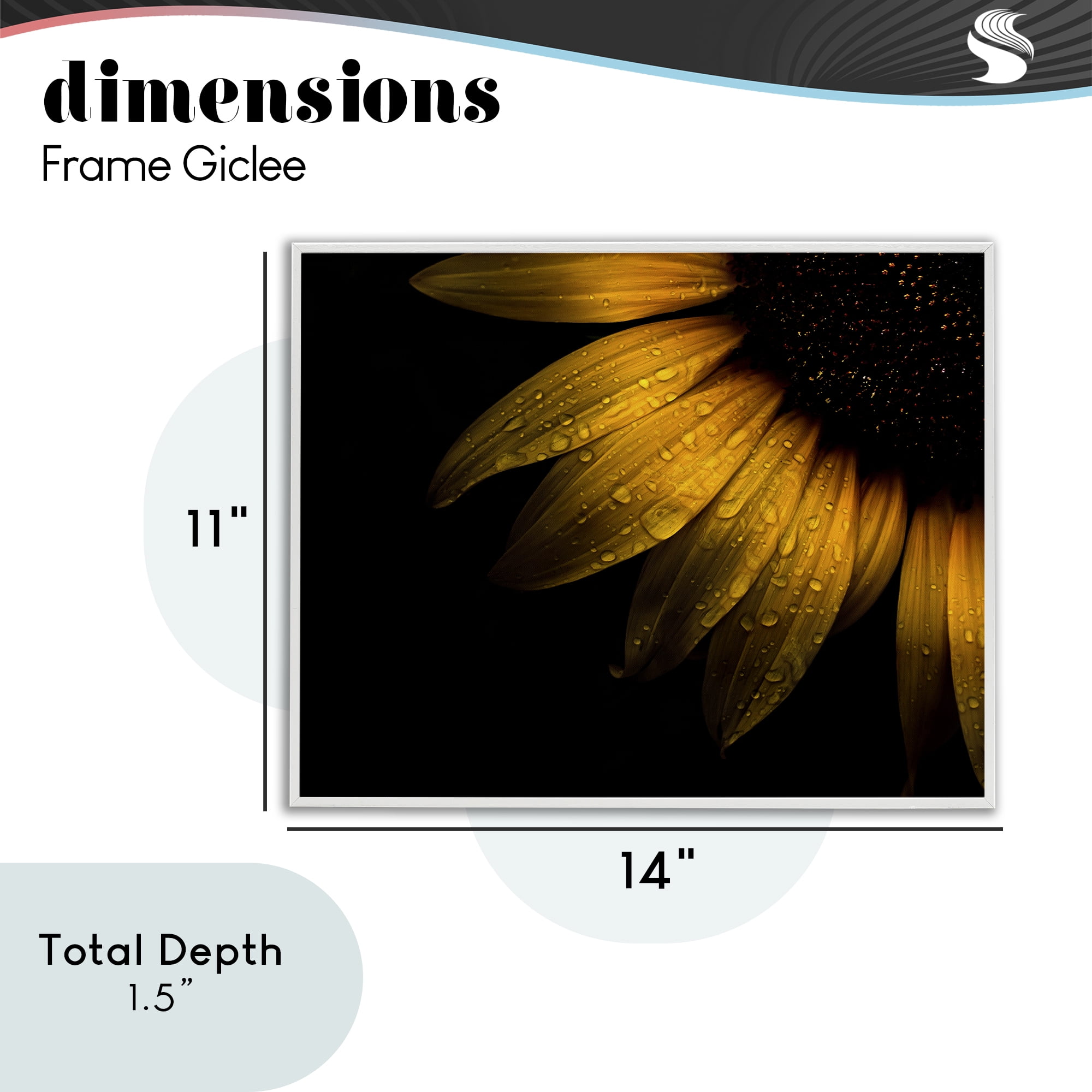 Water Droplets on Sunflower White Framed Giclee Art, design by Brian Carson Photography