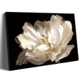 thumbnail image 3 of 2D Flat 1pc Wooden Framed Extra Large Canvas Wall Art, White Tulip Black Background Canvas, Flower Canvas, Modern Wall Art, Wrapped Canvas, 3 of 9