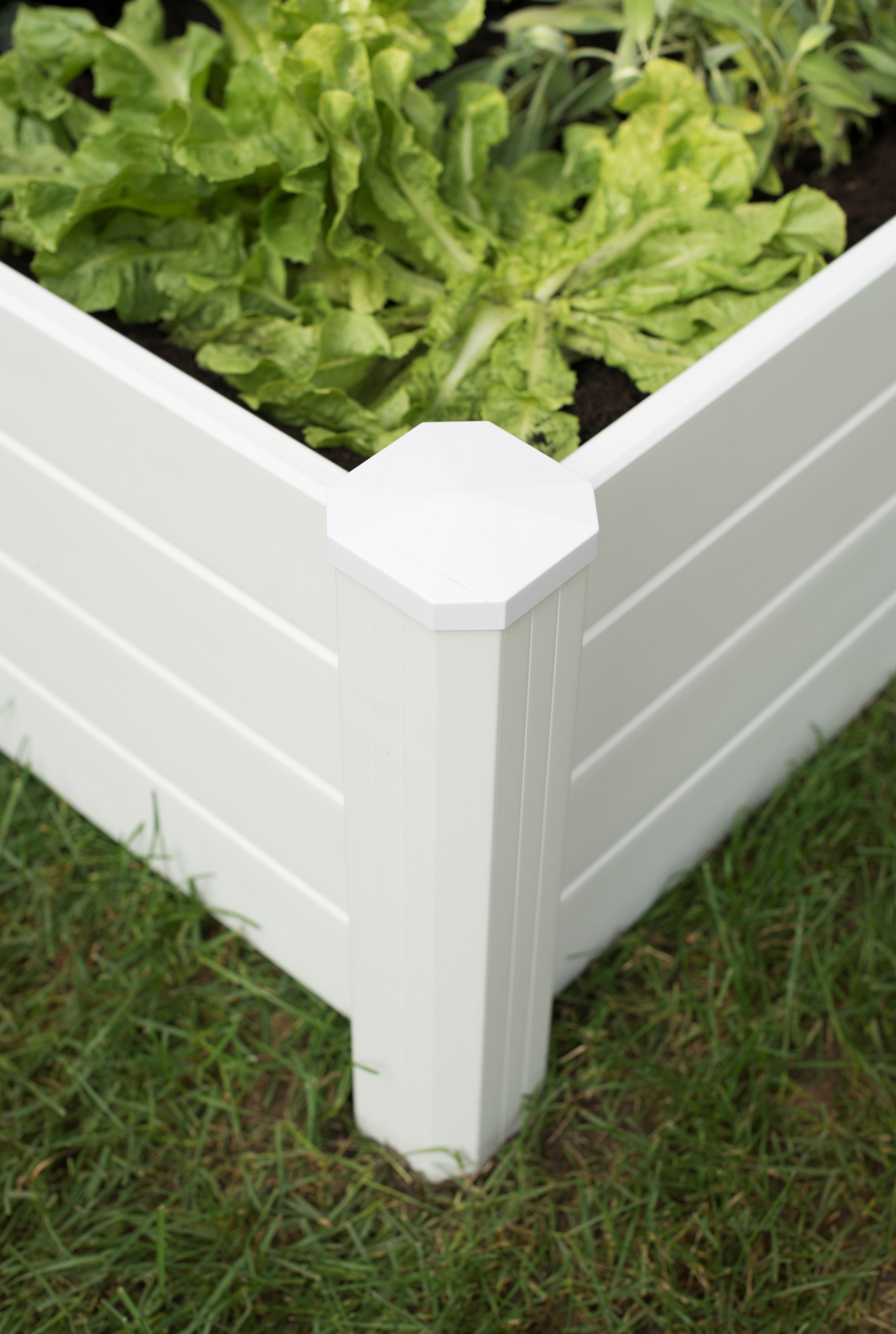 NuVue Products 26011, Grand Raised Garden Bed - White: 48 in W x 48 in L x 15 in H