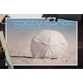 thumbnail image 3 of Jersey Shore, Sand Dollar on Beach (12x18 Wall Art Poster, Room Decor), 3 of 3
