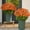 10bundle Orange, variant on Funsdecor Mums, Artificial Sunset Mums, Artificial Outdoor Sunset Mums Flowers - UV Resistant, Waterproof, Windproof, Fall Flower Daisy With Eucalyptus, Look Real, Full, Vibrant (5 Bundle Gold)