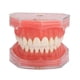 thumbnail image 2 of Modelo de encía ANGGREK Dientes removibles, 2 of 8