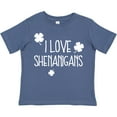 thumbnail image 3 of Inktastic I Love Shenanigans Boys or Girls Toddler T-Shirt, 3 of 5