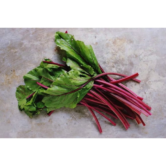 HIGHGW Organic Greens Seeds for Planting 100 Seeds, Red Swiss Chard Seeds – Plant & Grow Swiss Chard Outdoor Home Garden Vegetable Gardening Heirloom Seeds