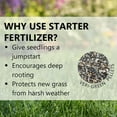 thumbnail image 4 of Jonathan Green Veri-Green Lawn Starter Lawn Fertilizer, 20.41 kg, 4 of 7
