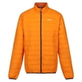 thumbnail image 1 of Regatta Mens Hillpack Quilted Insulated Jacket, 1 of 5