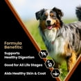 thumbnail image 3 of Victor Select Chicken & Rice Dry Dog Food, 40 lb, 3 of 7