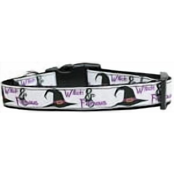 Halloween Pet Dog  Cat Nylon Collar or Leash, "Witch and Famous"