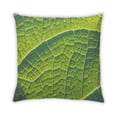 thumbnail image 2 of Ahgly Color Focus Green Company Coussin d'Intérieur, 18 Pouces par 18 Pouces, 2 of 6