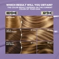 thumbnail image 5 of Garnier Nutrisse Ultra Color Nourishing Permanent Hair Color Creme, Ultra Balayage, 1 kit, 5 of 9