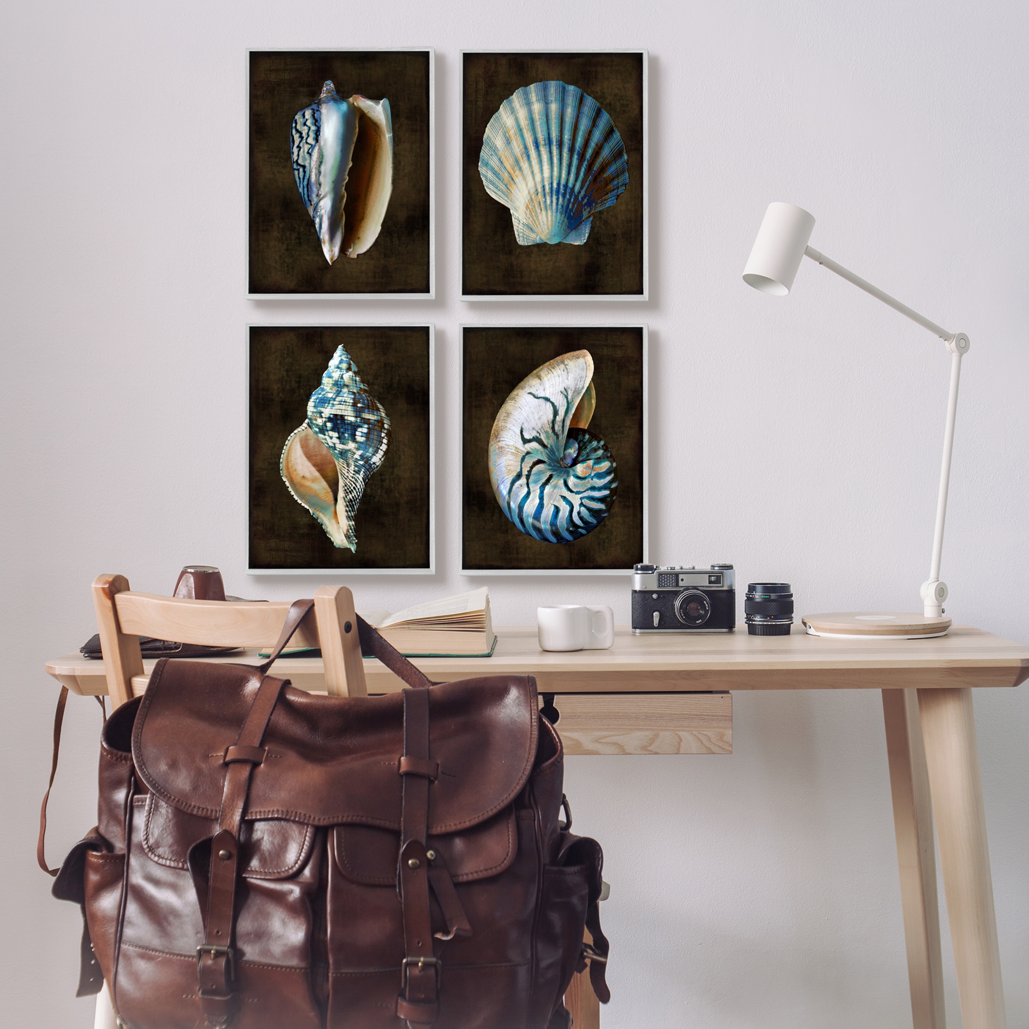 Stupell Industries Dark Maritime Seashells Animals & Insects Painting Gray Framed Art Print Wall Art, 11 x 14, Set of 4