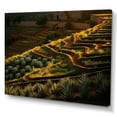 thumbnail image 2 of Designart "Texas Dusk Succulent Scene I" Succulent Wall Art Living Room, 2 of 7