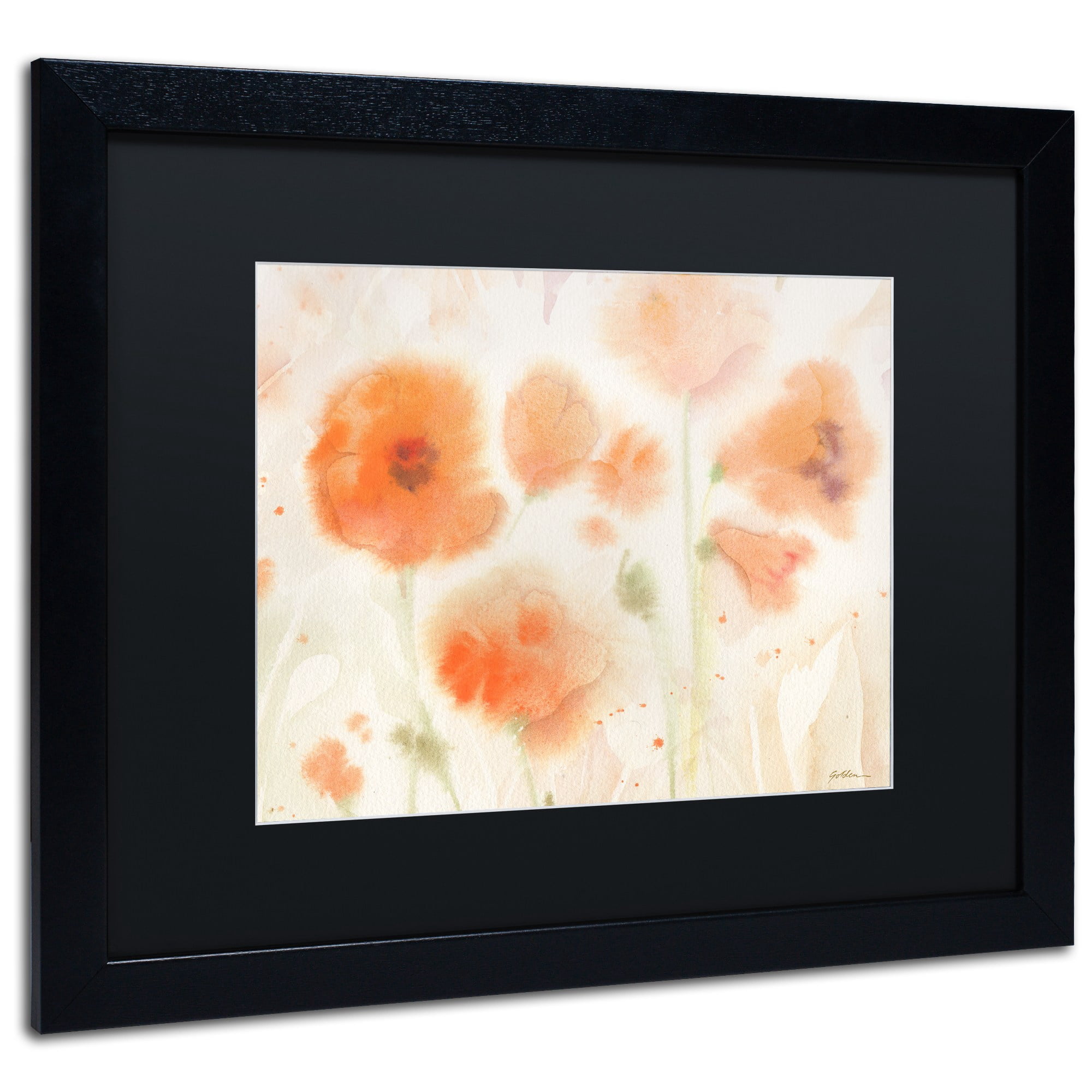 Trademark Fine Art "Orange Tones" Canvas Art by Sheila Golden, Black Matte, Black Frame