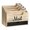 T, variant on Cosemary Wood Desk Paper Sorter with Drawer for Mail and Desk Supplies