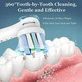 Toptheway Replacement Toothbrush Heads Compatible with Oral B Braun Pro
