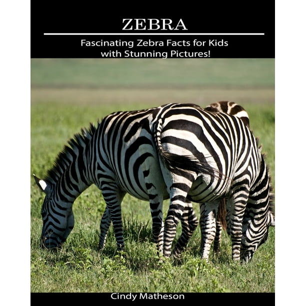 Zebra Fascinating Zebra Facts for Kids with Stunning Pictures