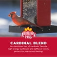 thumbnail image 4 of Semillas para aves Audubon Park Cardinal Mix 3,5 kg, 4 of 9