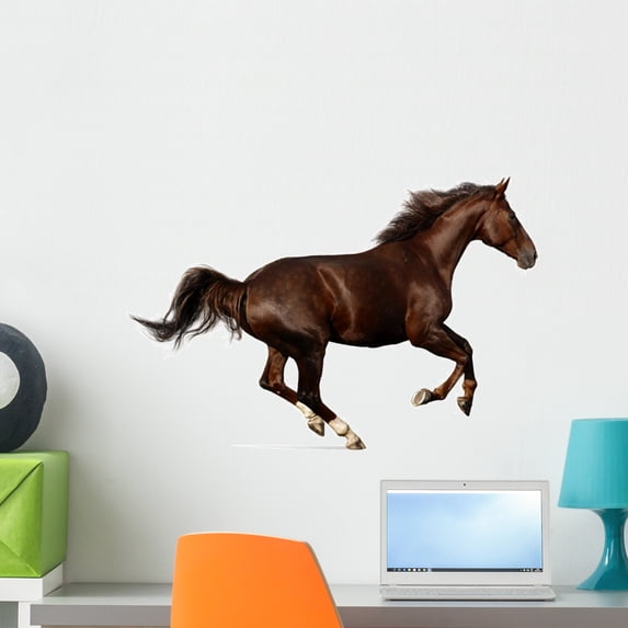 Gallop H)orse Wall Decal Sticker by Wallmonkeys Vinyl Peel and Stick Graphic (24 in W x 16 in H)