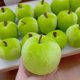 thumbnail image 4 of Apples Designs Plush Toy Sofa Cushion Cover for Stress Relief Home Decoration Sturdy and Washable Red, 4 of 4