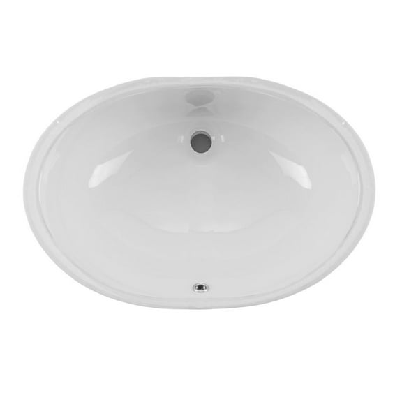 Undermount 19-1/4 in. Glazed Porcelain Oval Bathroom Sink in White